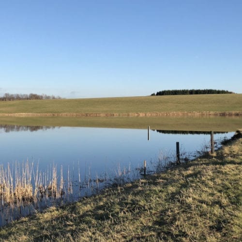 ponds in the Harz