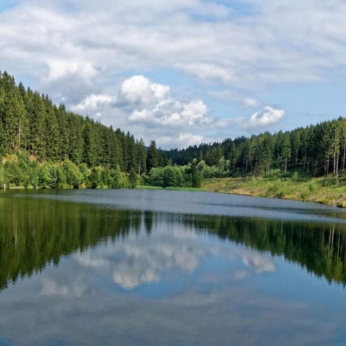 Harz natural paradise