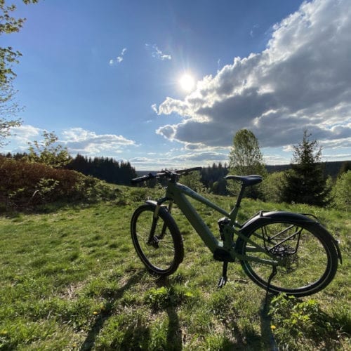 Mountain biking in the Harz