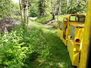 Bergbau-Förderbahn im Harzer Wald.