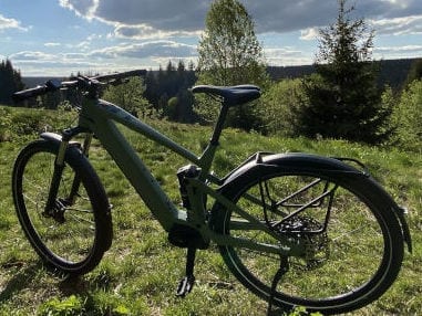 Ein Fahrrad im Harz mit Wald und Wiese.